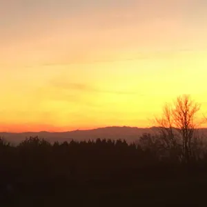 Au Petit Bonheur Hébergement de vacances Chateldon