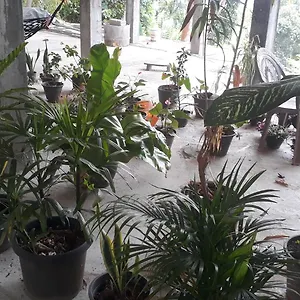 Сasa de vacaciones Fortress, Kandy